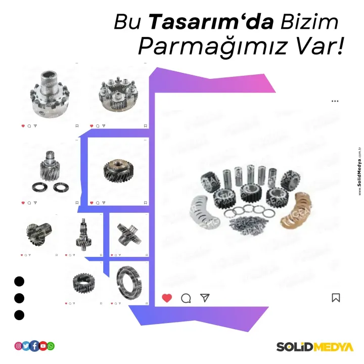 Tigeardisli — Fotoğraf Projesi | Solid Medya