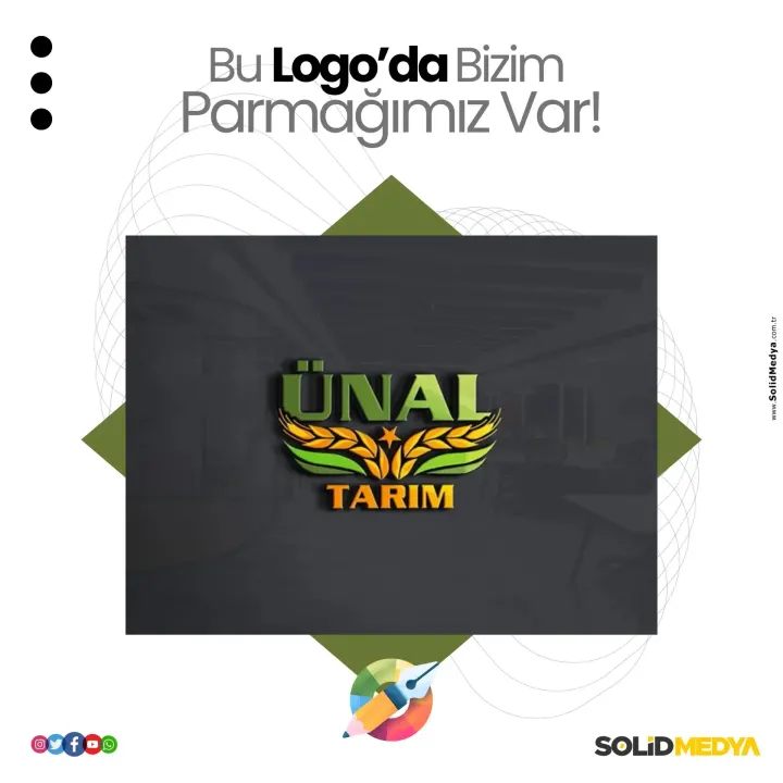 Logo Tasarım Projesi 72 — Solid Medya Konya