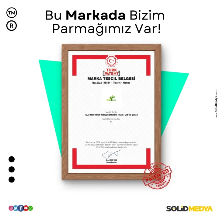 Koyem — Marka Tescil Projesi | Solid Medya