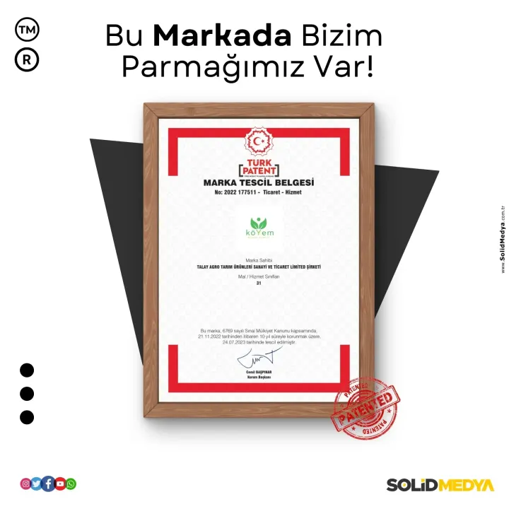 Talayagrokoyem — Marka Tescil Projesi | Solid Medya