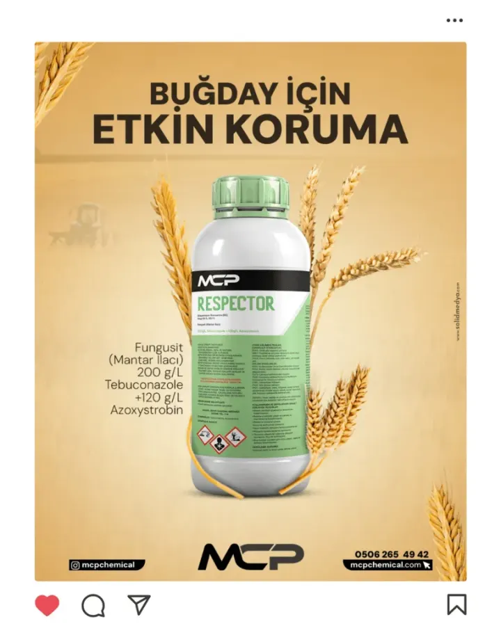 Sosyal Medya Projesi 25 — Solid Medya Konya