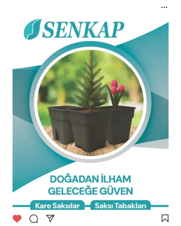 Sosyal Medya Projesi 50 — Solid Medya Konya