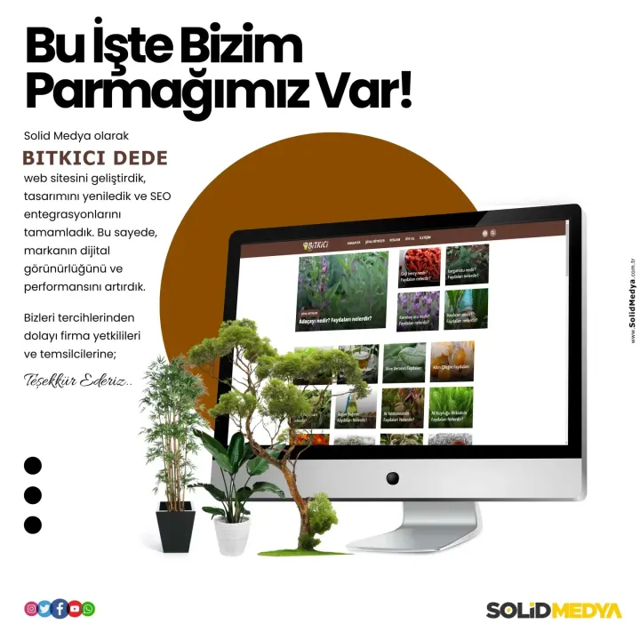 Bitkicidede — Web Tasarım Projesi | Solid Medya
