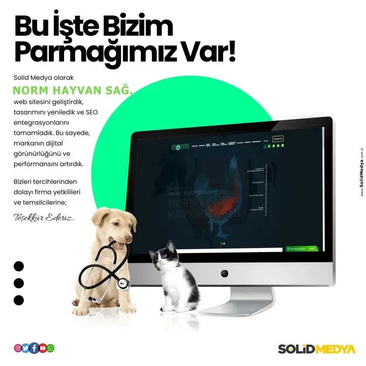 Normhayvansagligi — Web Tasarım Projesi | Solid Medya