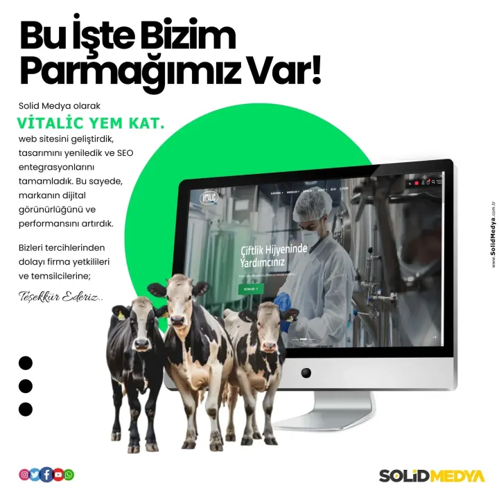 Vitalicyemkatki — Web Tasarım Projesi | Solid Medya