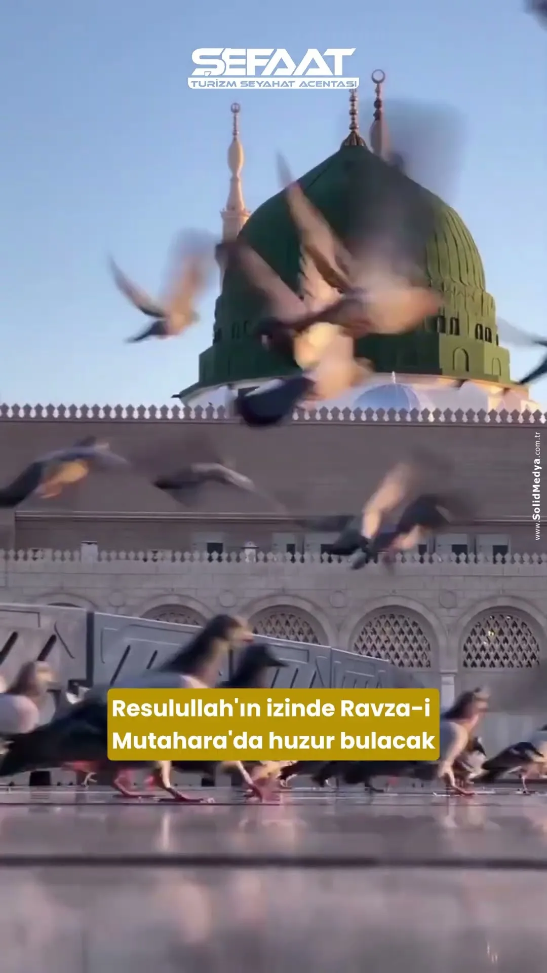 Şefaat Turizm (Reels) — 5. video kapak görseli