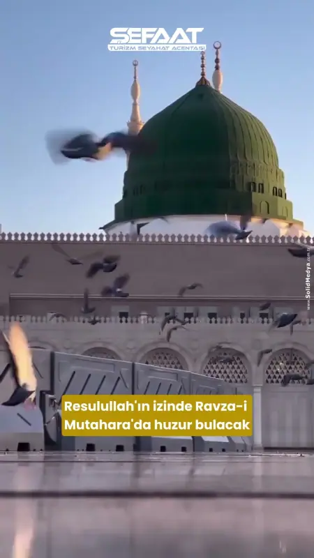 Şefaat Turizm (Reels) — video kapak görseli